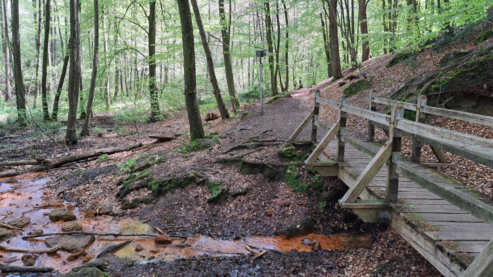 Holzbrücke über ein Bachbett auf einer Teutoschleife an den Dörenther Klippen