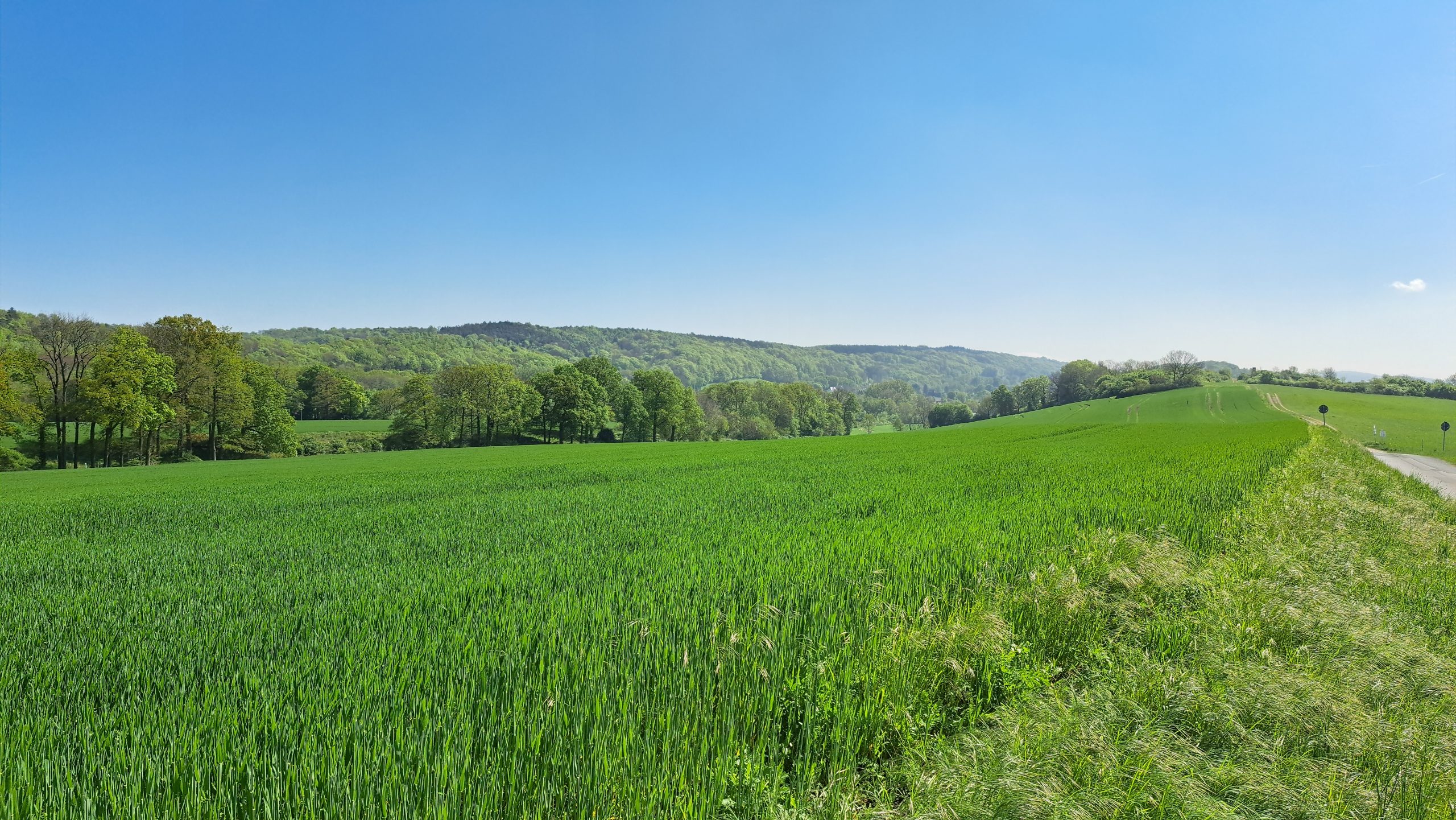 Grünes Feld und bewaldete Hügel bei Brochterbeck