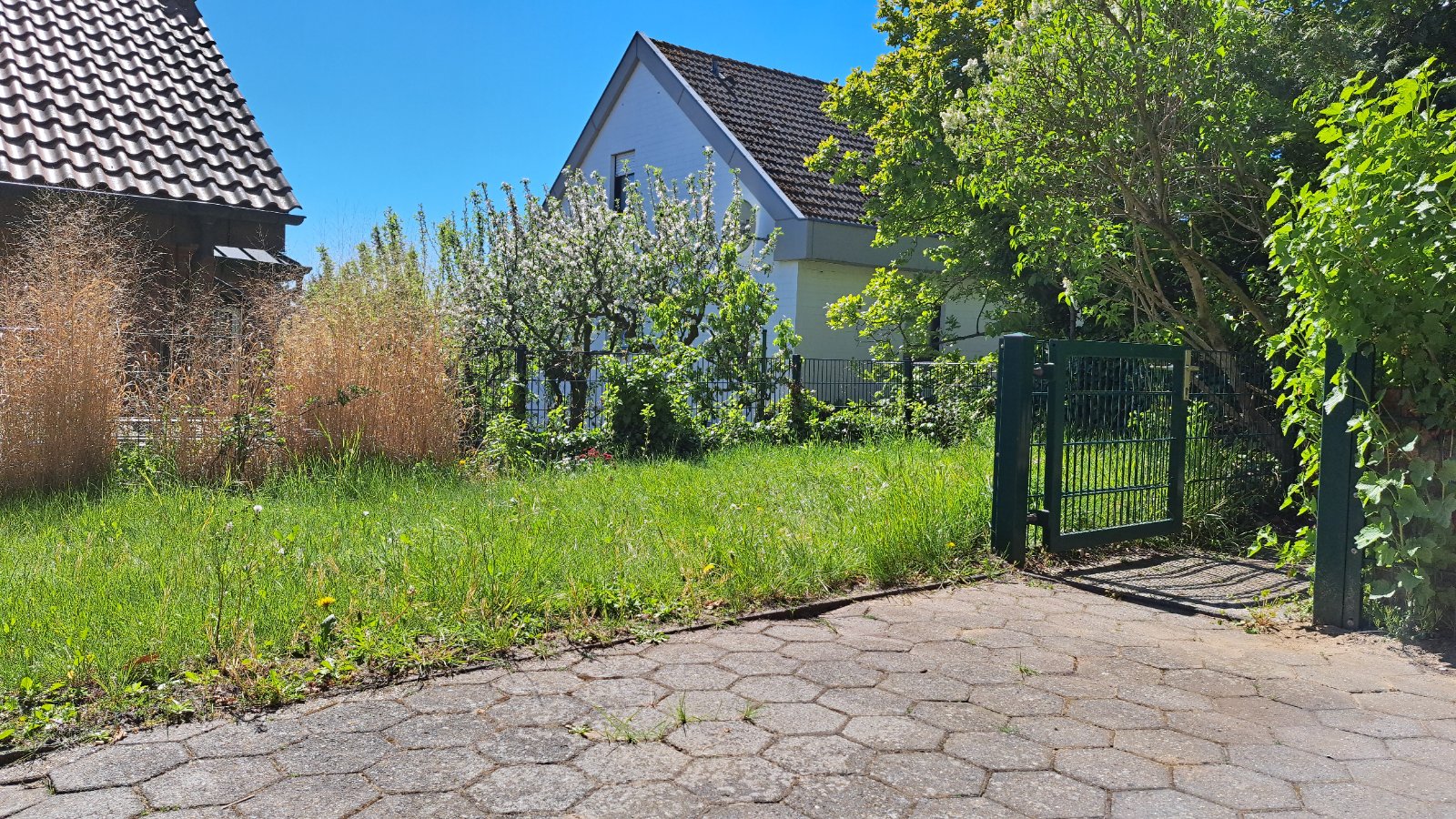 Garten / Außenbereich — Ferienwohnung Brochterbeck, Teutoburger Wald