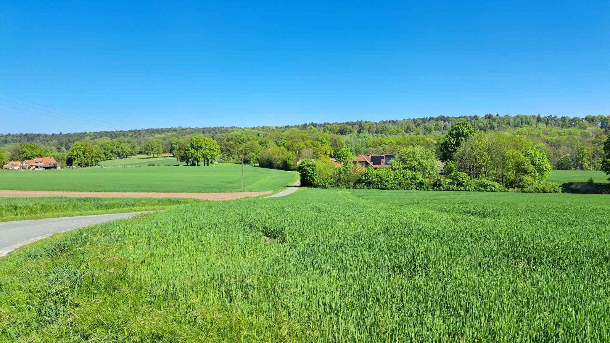 Grünes Feld und Hügel bei Brochterbeck