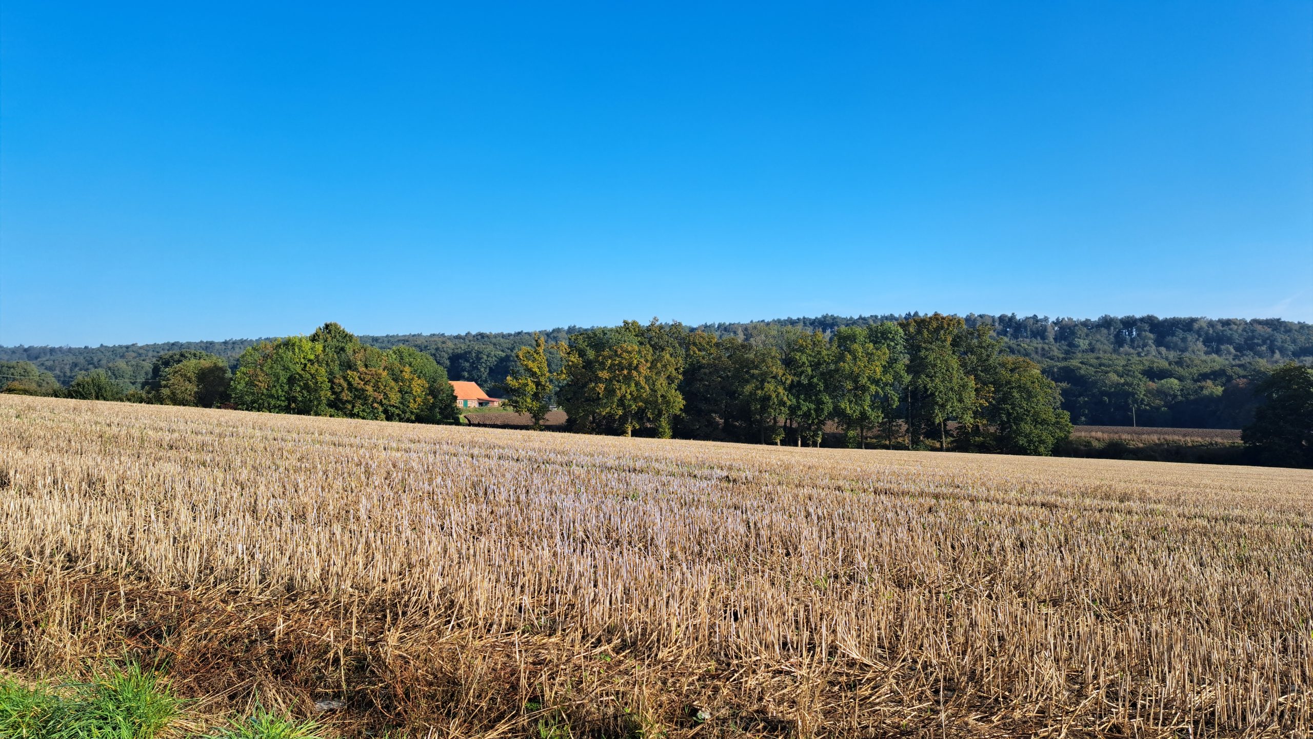 Weite Feldlandschaft bei Brochterbeck im Teutoburger Wald