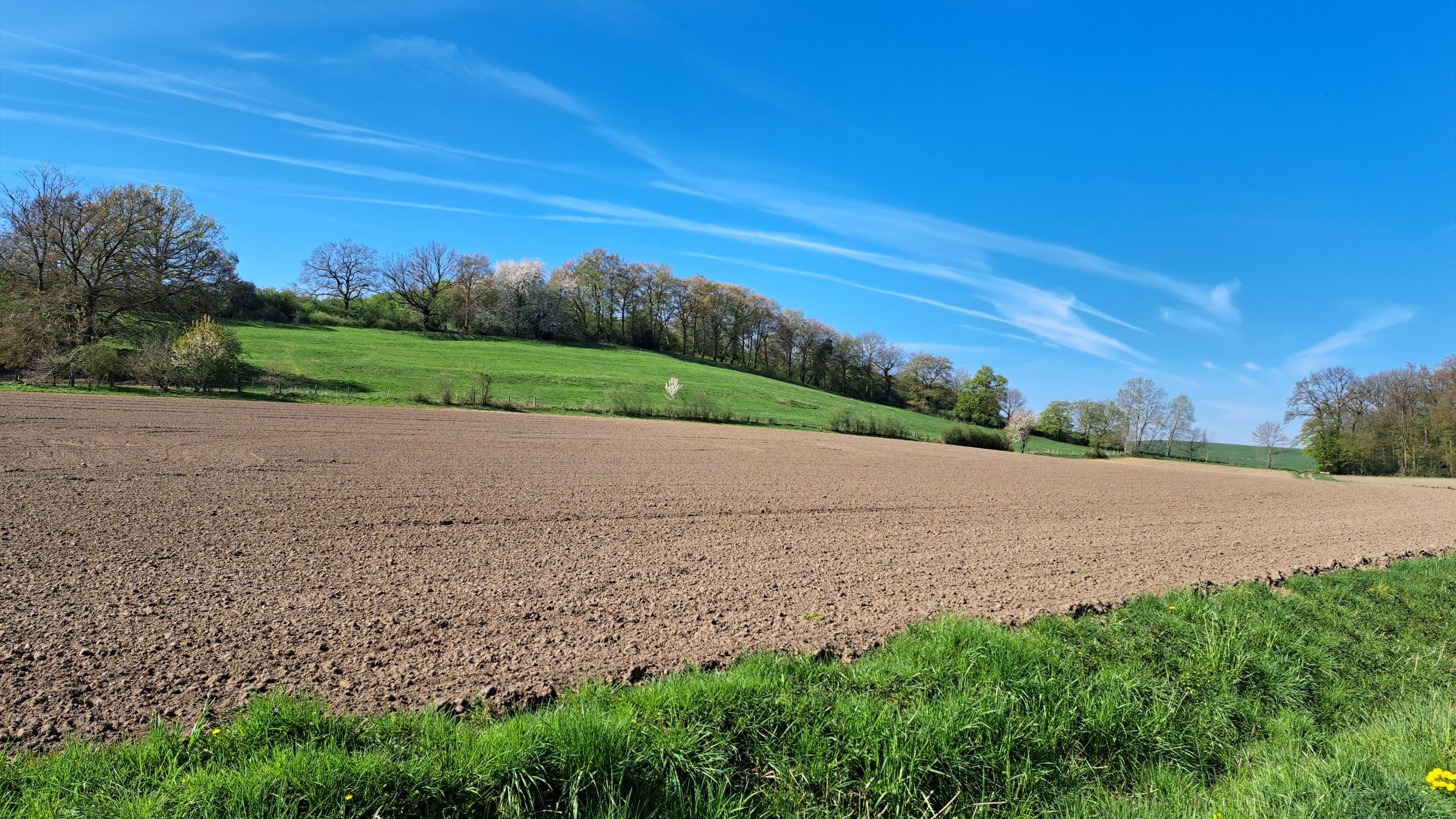 Acker und Feld bei Brochterbeck