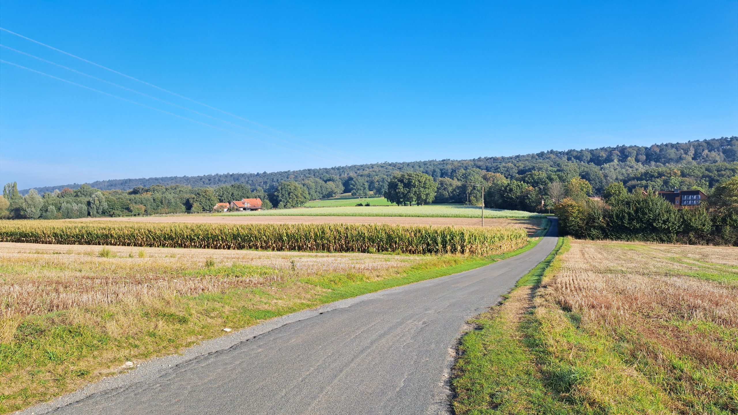 Feldweg durch die Felder bei Brochterbeck