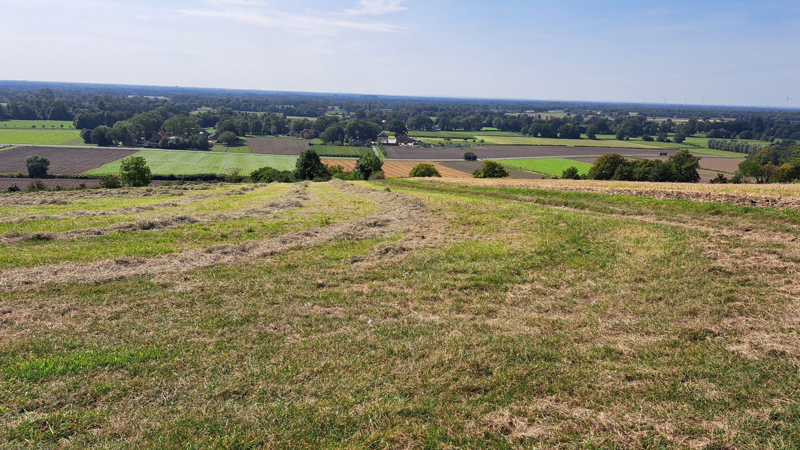 Feldlandschaft mit Fernblick bei Brochterbeck