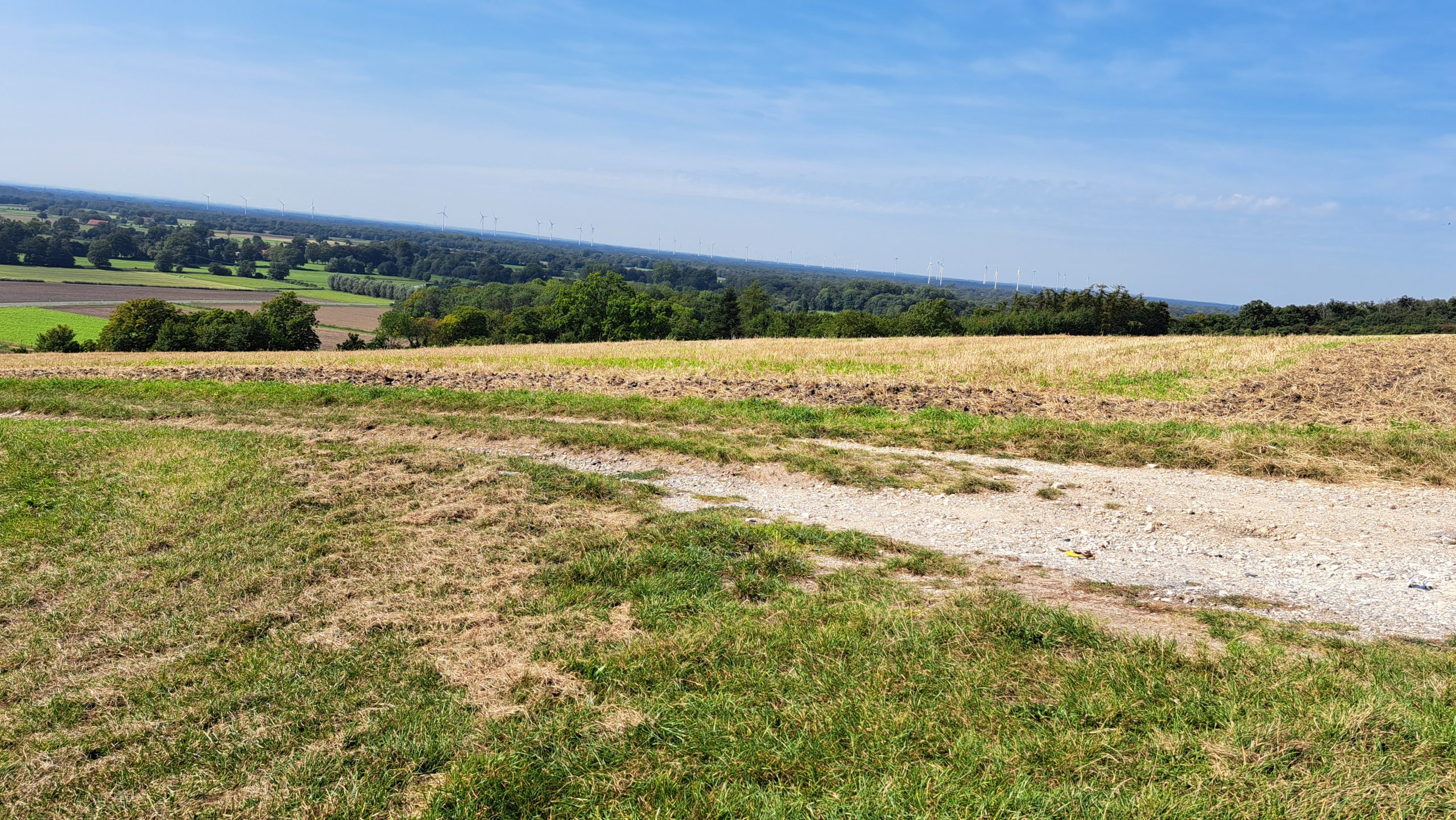 Feldweg und Hügel bei Brochterbeck