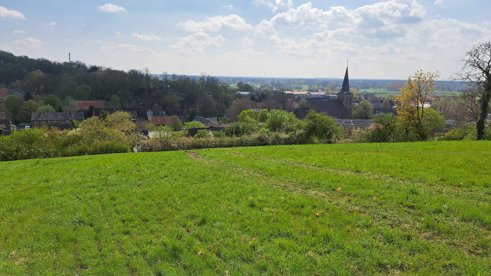 Grüne Wiese mit Blick über die Ebene zum Ort im Tecklenburger Land