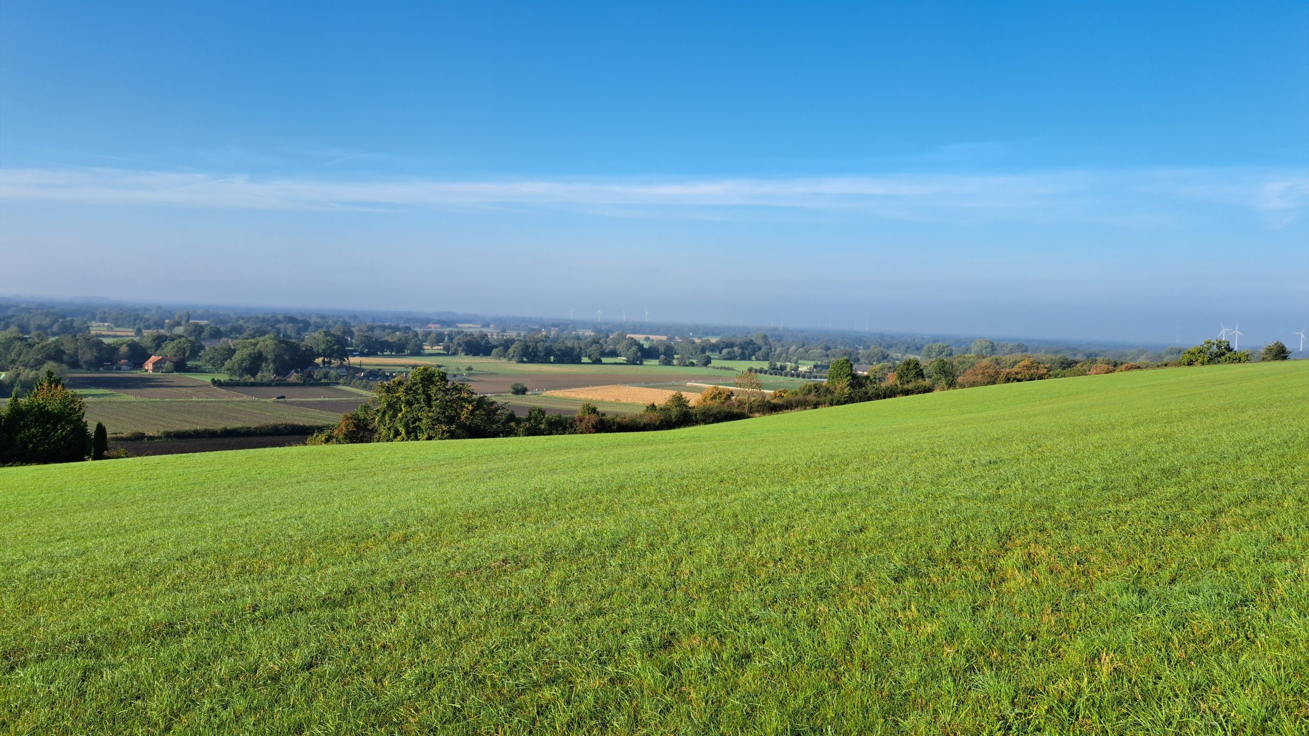 Weite Aussicht über Wiesen bei Brochterbeck