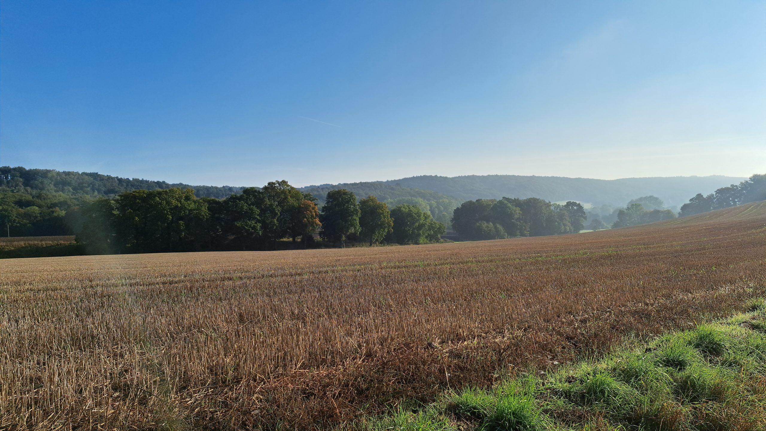 Feldlandschaft mit Hügeln bei Brochterbeck