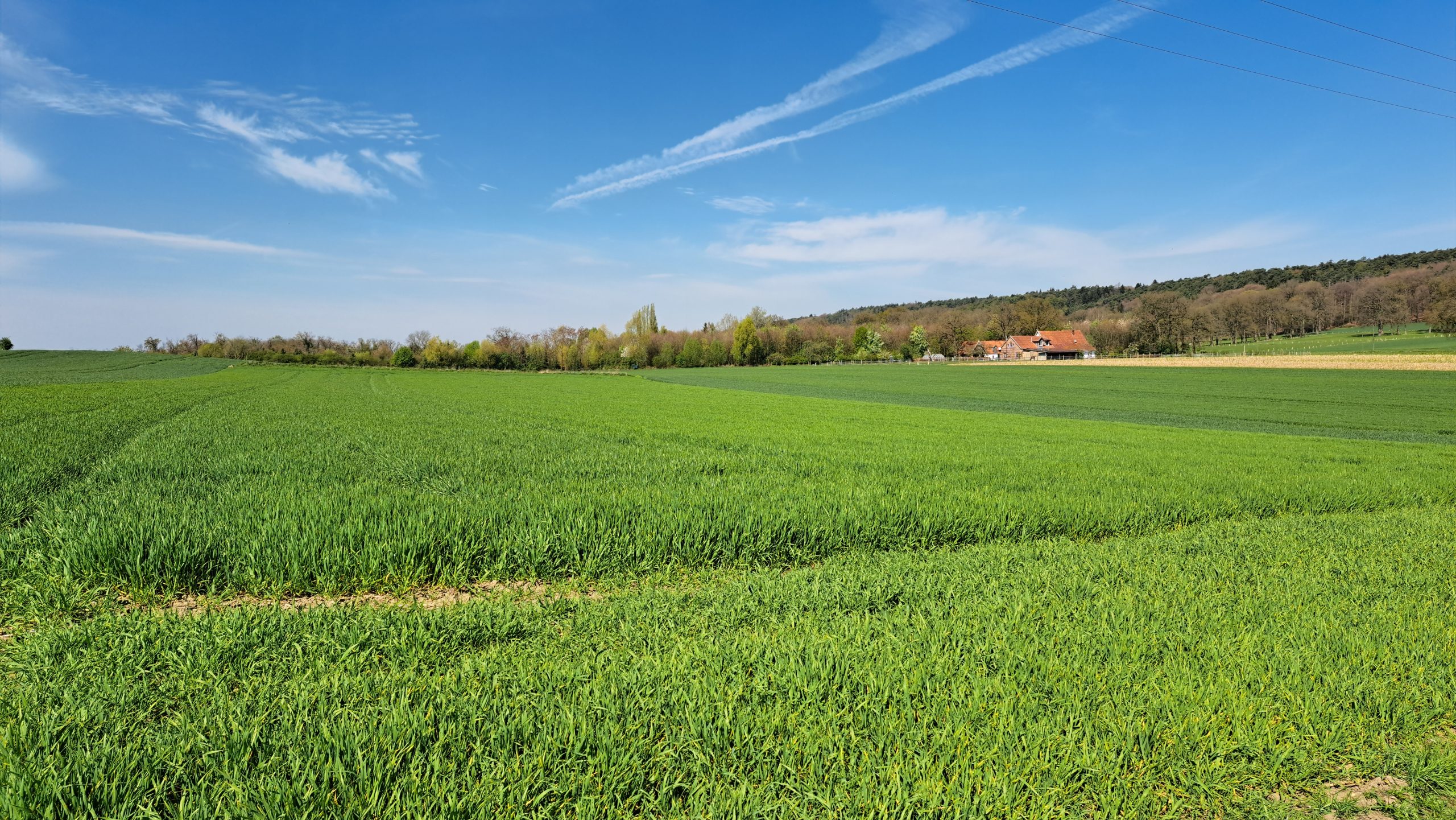 Grüne Felder und Teutoburger Wald bei Brochterbeck