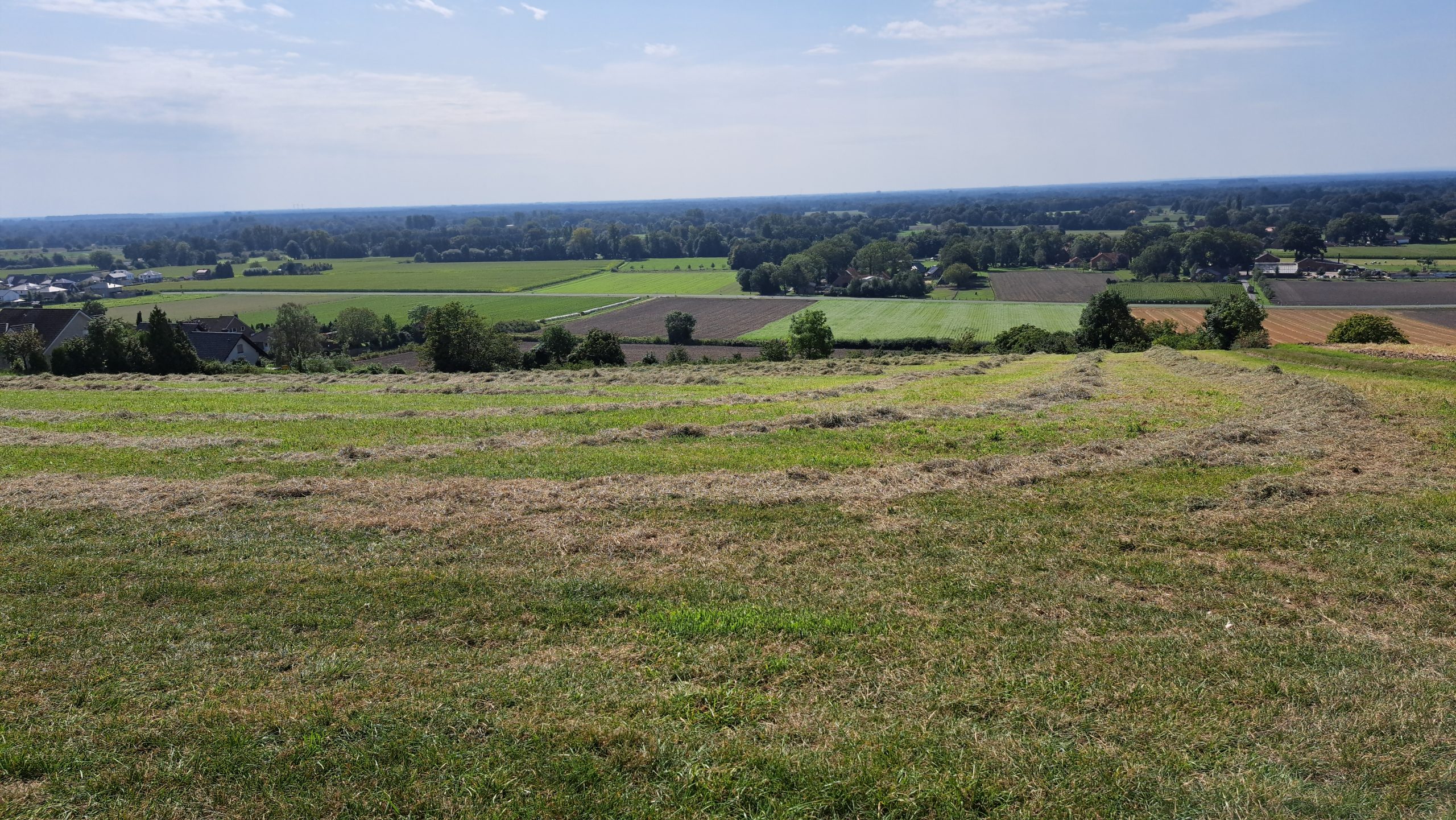 Blick über Wiesen auf Brochterbeck