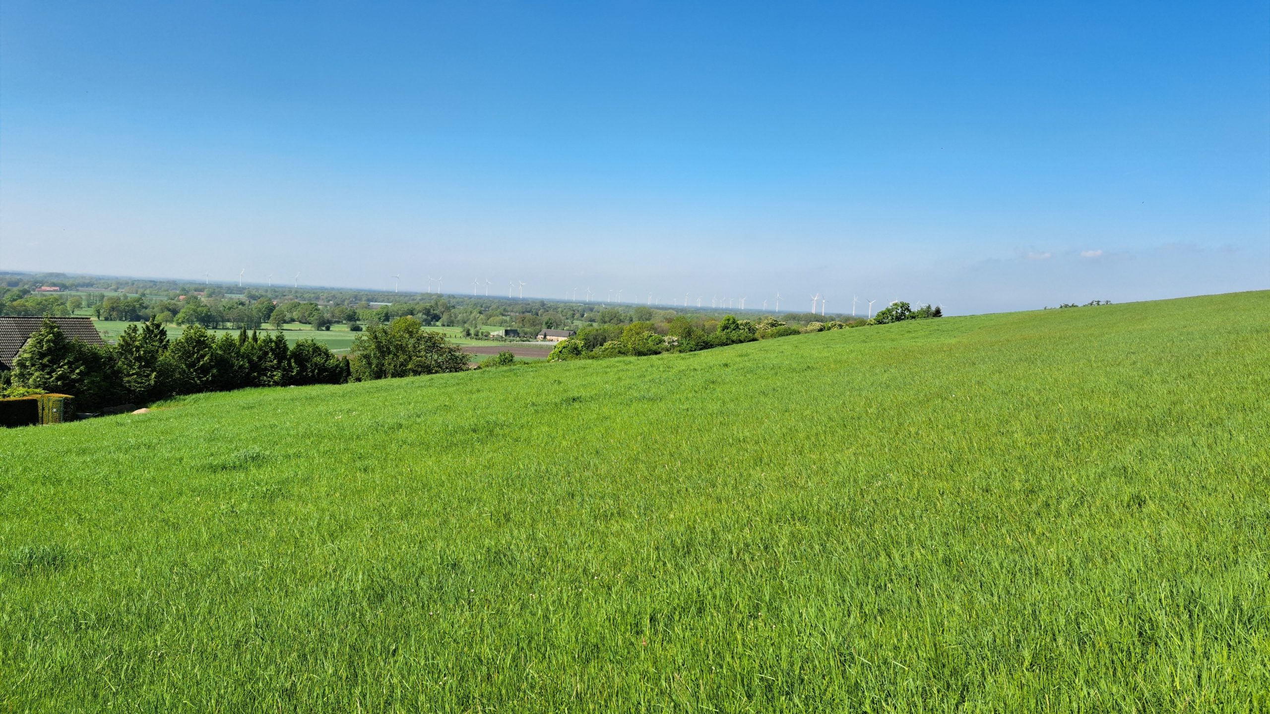 Grüne Wiese bei Brochterbeck