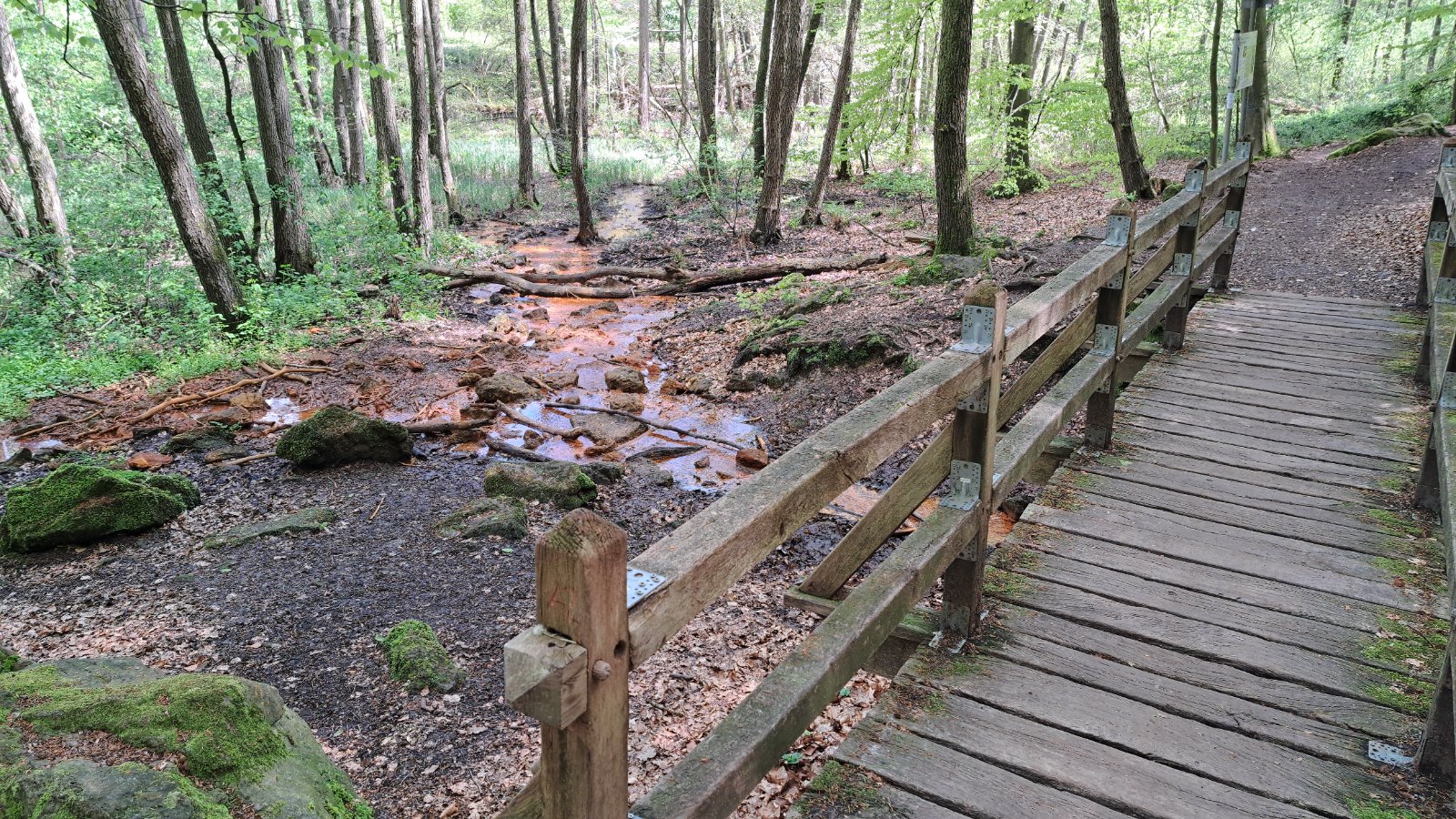 Hölzerner Bohlenweg über Sandsteinfelsen im Wald an den Dörenther Klippen