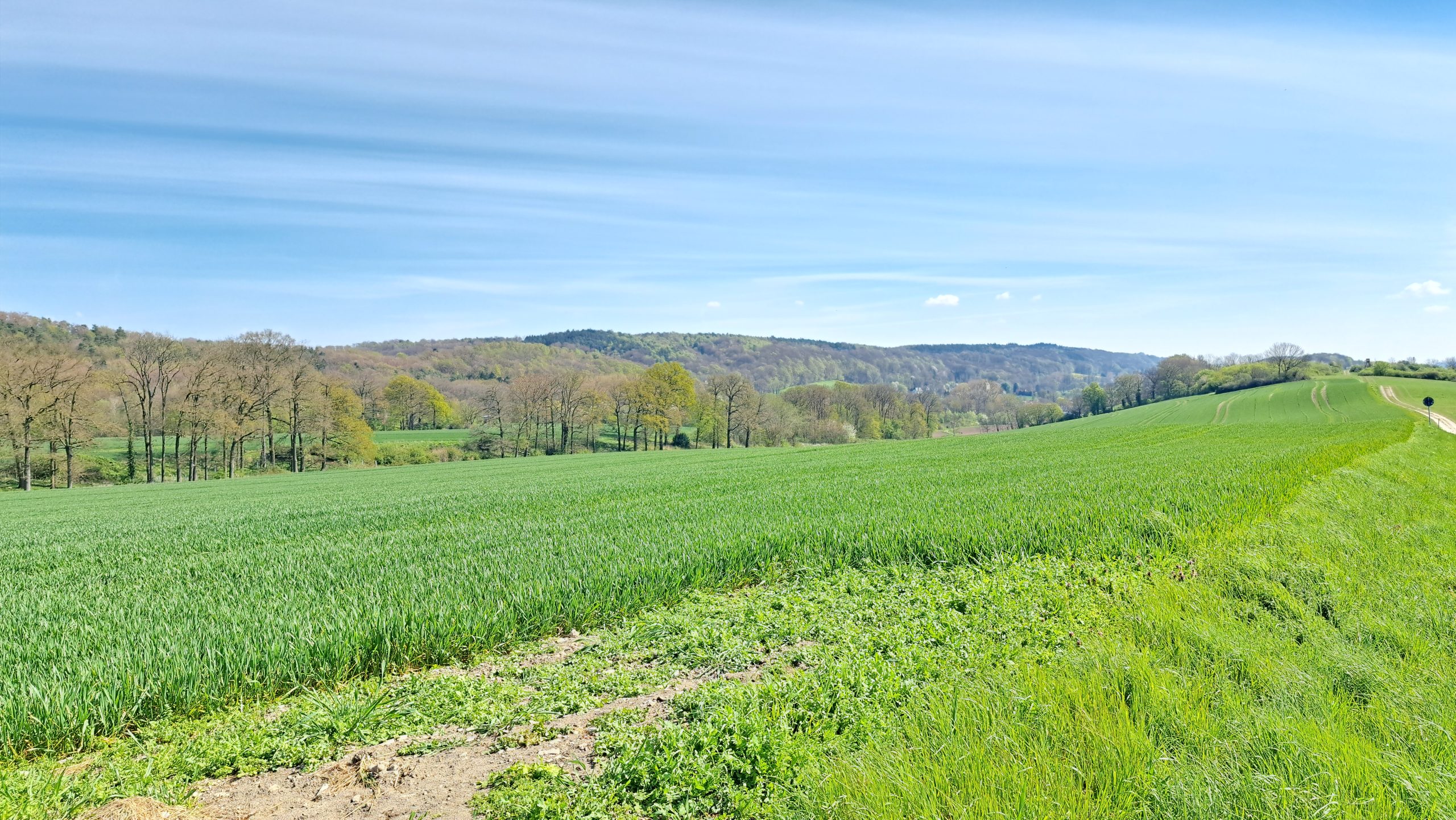 Feld mit Blick auf die Hügel bei Brochterbeck