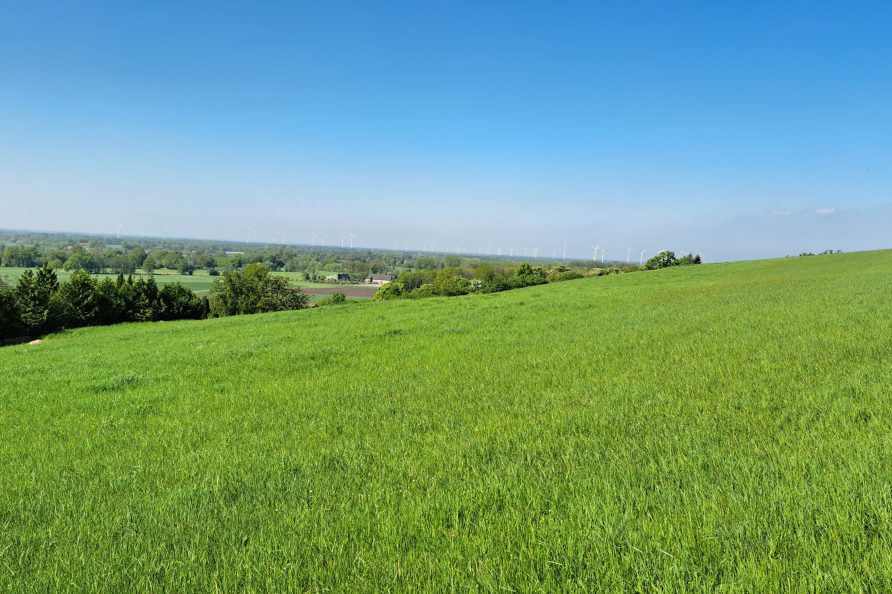 Dast in Brochterbeck