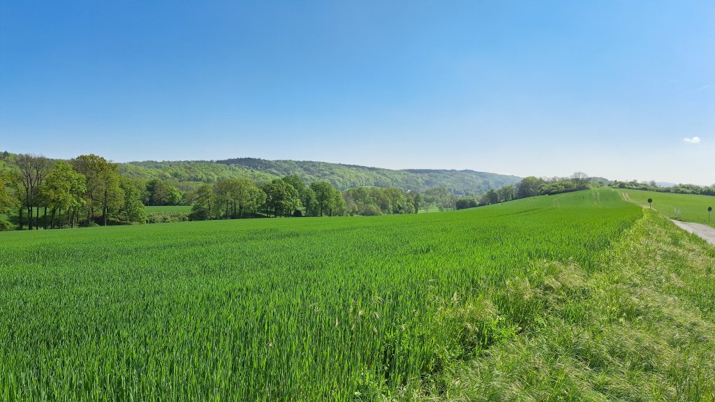 Gallery Brochterbeck