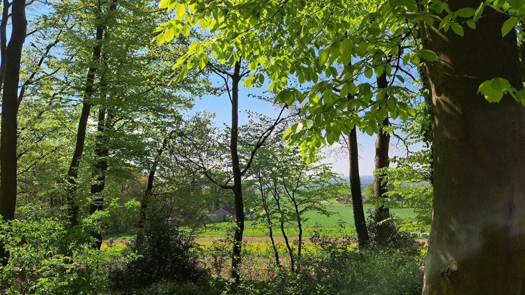 Gallery Brochterbeck