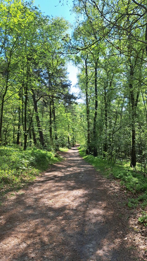 Gallery Brochterbeck