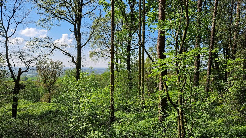 Gallery Brochterbeck