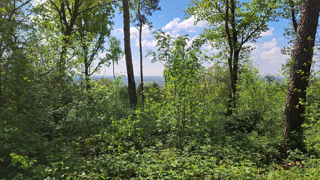 Gallery Brochterbeck