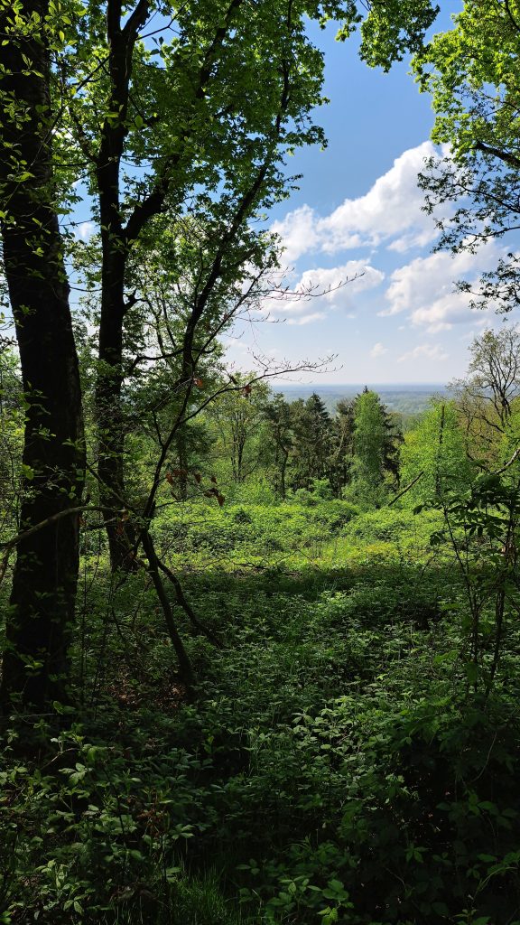 Gallery Brochterbeck