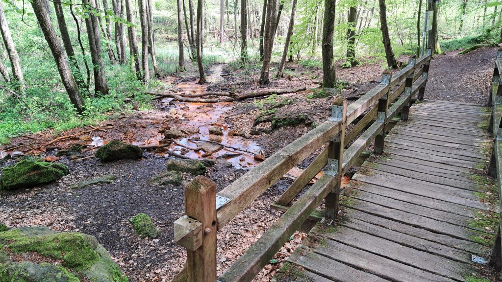 Gallery Brochterbeck