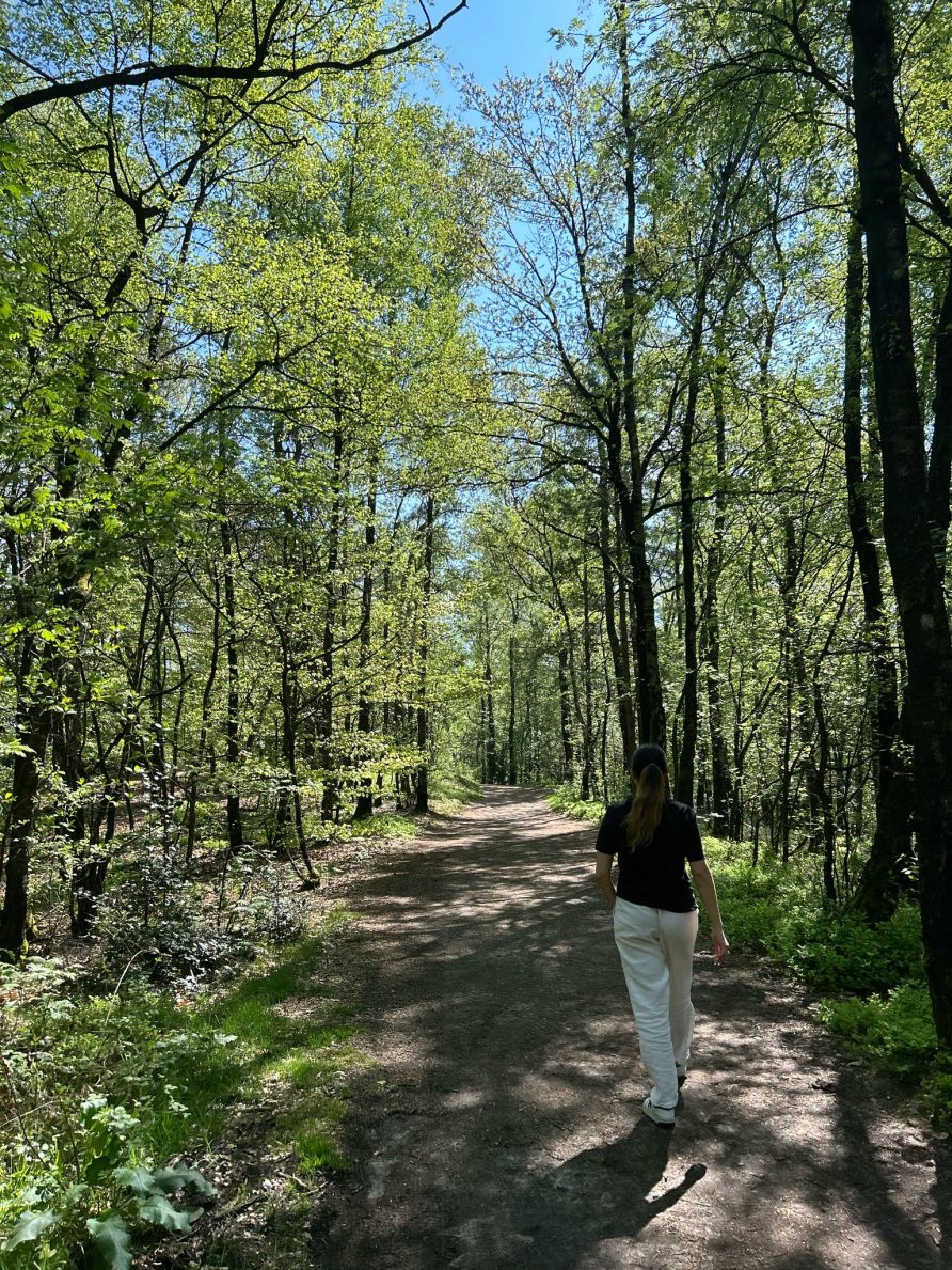 Wandern im Teutoburger Wald in Brocherbeck