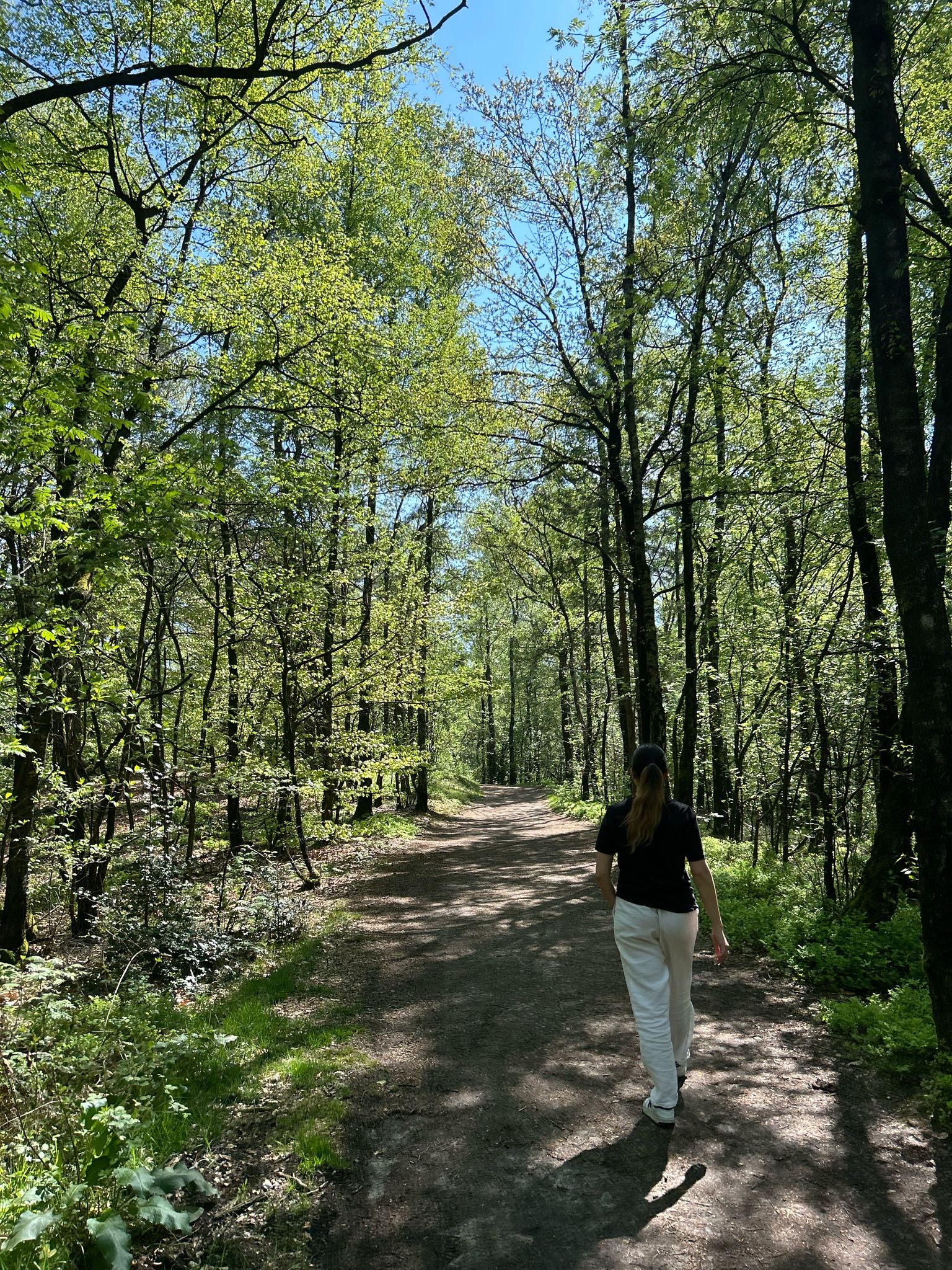 Wandern im Teutoburger Wald in Brocherbeck