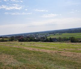 Dast in Brochterbeck