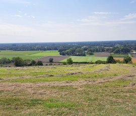 Dast in Brochterbeck