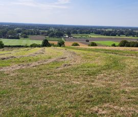 Dast in Brochterbeck