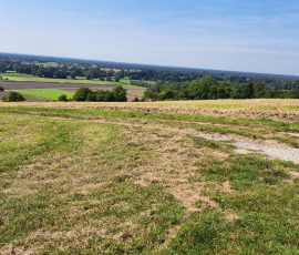 Dast in Brochterbeck