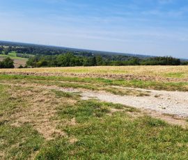 Dast in Brochterbeck