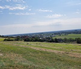 Dast in Brochterbeck