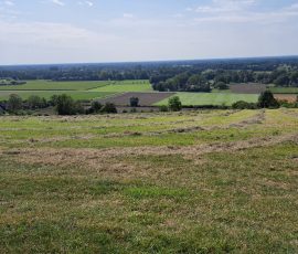 Dast in Brochterbeck