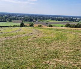 Dast in Brochterbeck