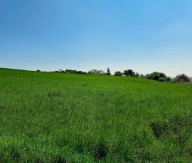 Dast in Brochterbeck