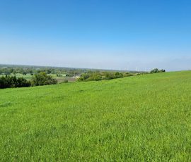 Dast in Brochterbeck