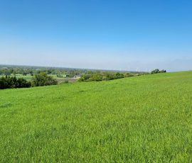 Dast in Brochterbeck