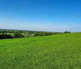Dast in Brochterbeck