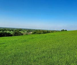 Dast in Brochterbeck