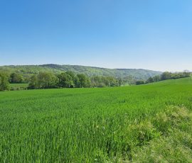 Dast in Brochterbeck