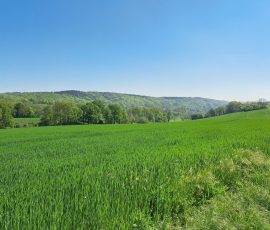 Dast in Brochterbeck