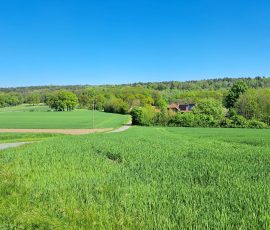 Dast in Brochterbeck