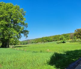 Dast in Brochterbeck