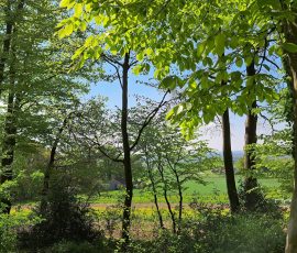Teutoburger Wald in Brochterbeck