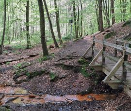 Eisenquelle in Brochterbeck