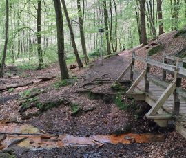 Eisenquelle in Brochterbeck