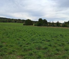 Wechte in Lengerich Wechte in Lengerich