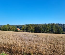 Dast in Brochterbeck
