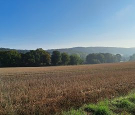 Dast in Brochterbeck